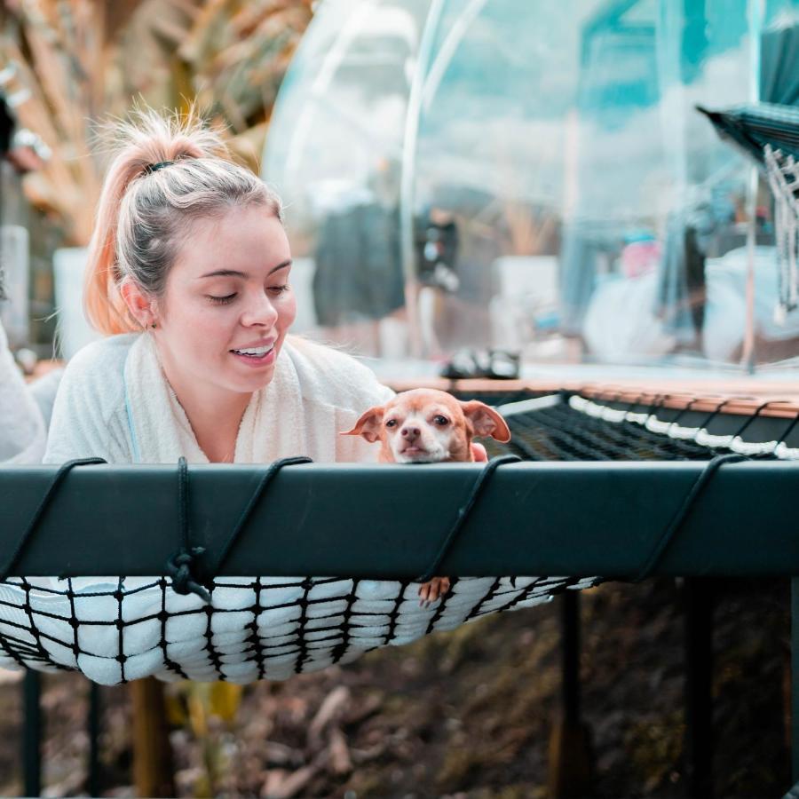 Chami Glamping Villa Manizales Eksteriør bilde