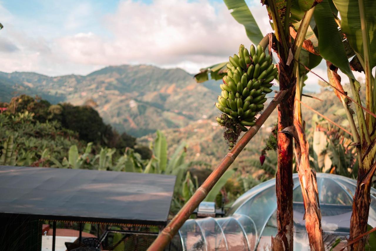 Chami Glamping Villa Manizales Eksteriør bilde