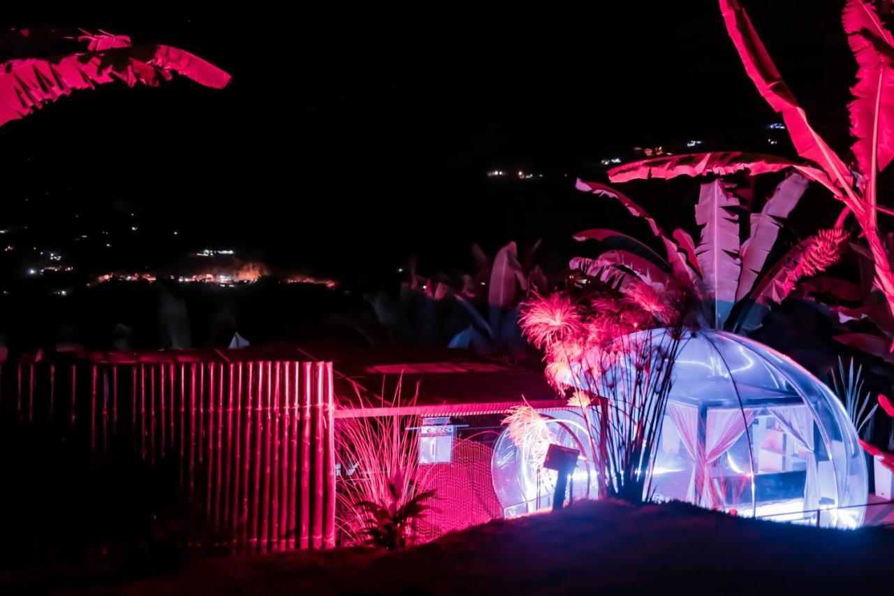 Chami Glamping Villa Manizales Eksteriør bilde