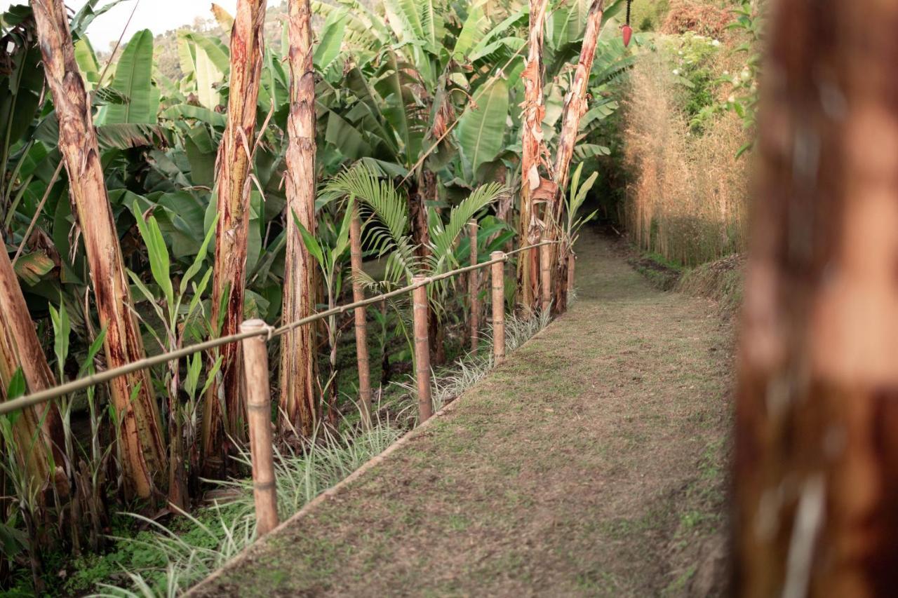 Chami Glamping Villa Manizales Eksteriør bilde