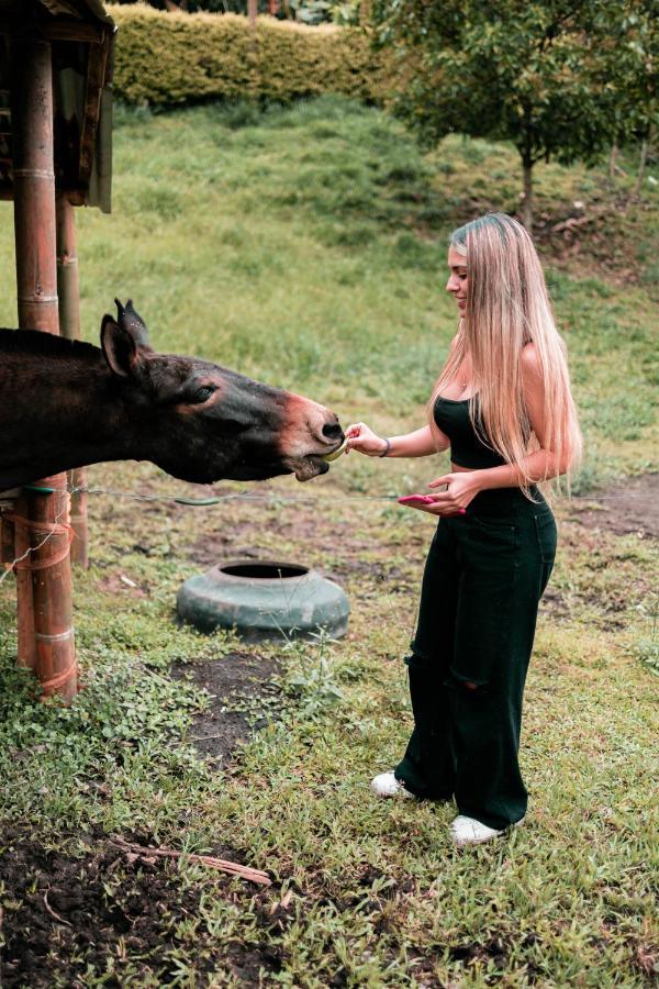 Chami Glamping Villa Manizales Eksteriør bilde