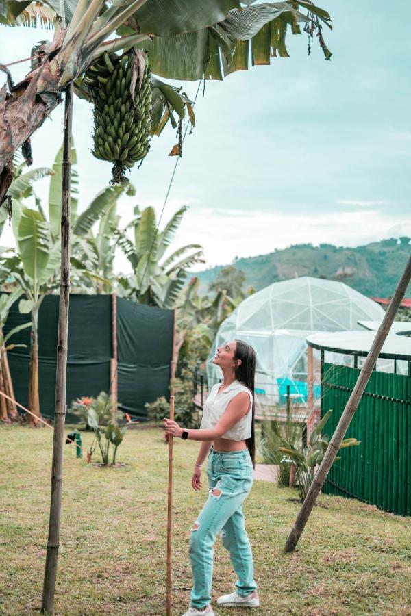 Chami Glamping Villa Manizales Eksteriør bilde