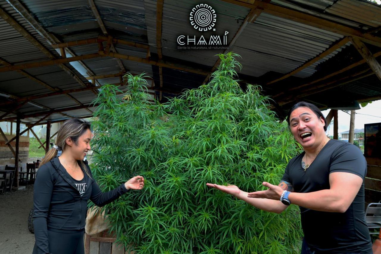 Chami Glamping Villa Manizales Eksteriør bilde