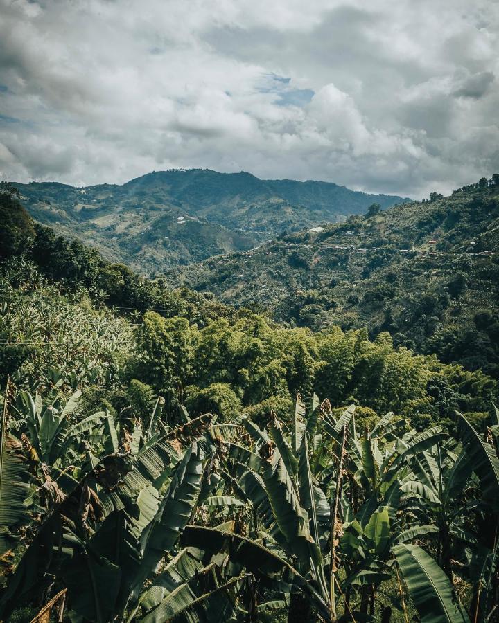 Chami Glamping Villa Manizales Eksteriør bilde
