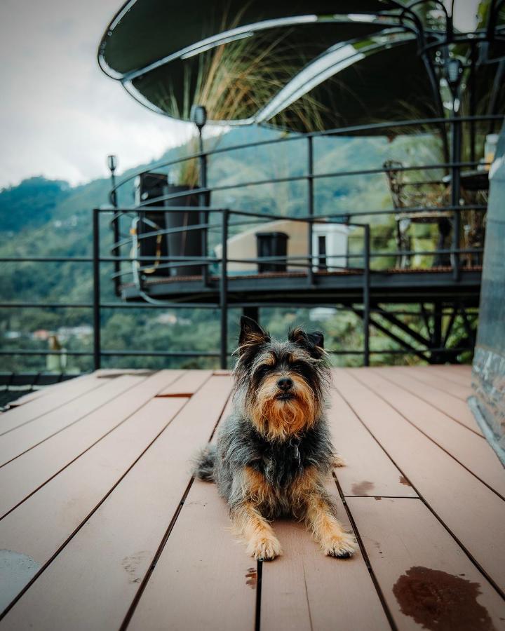 Chami Glamping Villa Manizales Eksteriør bilde