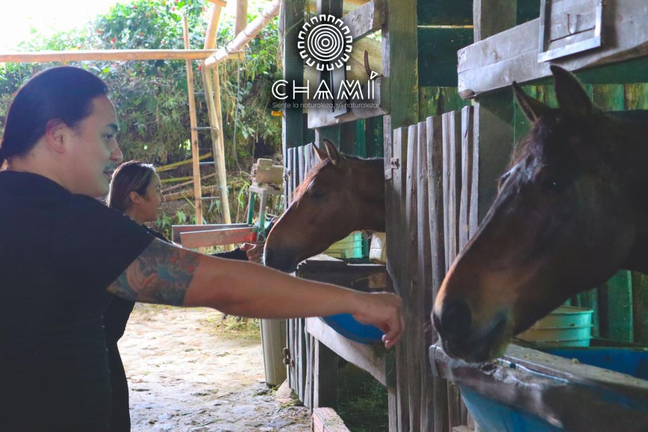 Chami Glamping Villa Manizales Eksteriør bilde