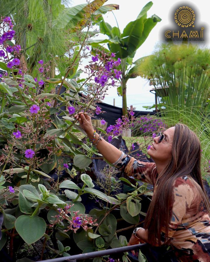 Chami Glamping Villa Manizales Eksteriør bilde